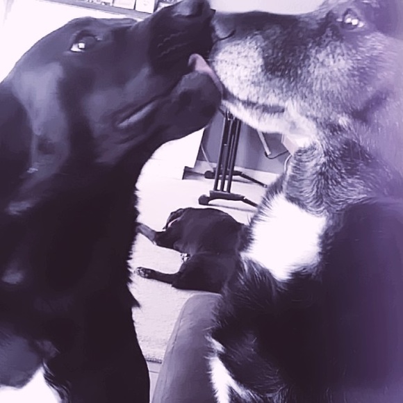 HELLO GORGEOUS! - Picture 12 of 14